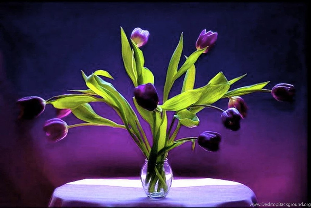 Purple Tulips (