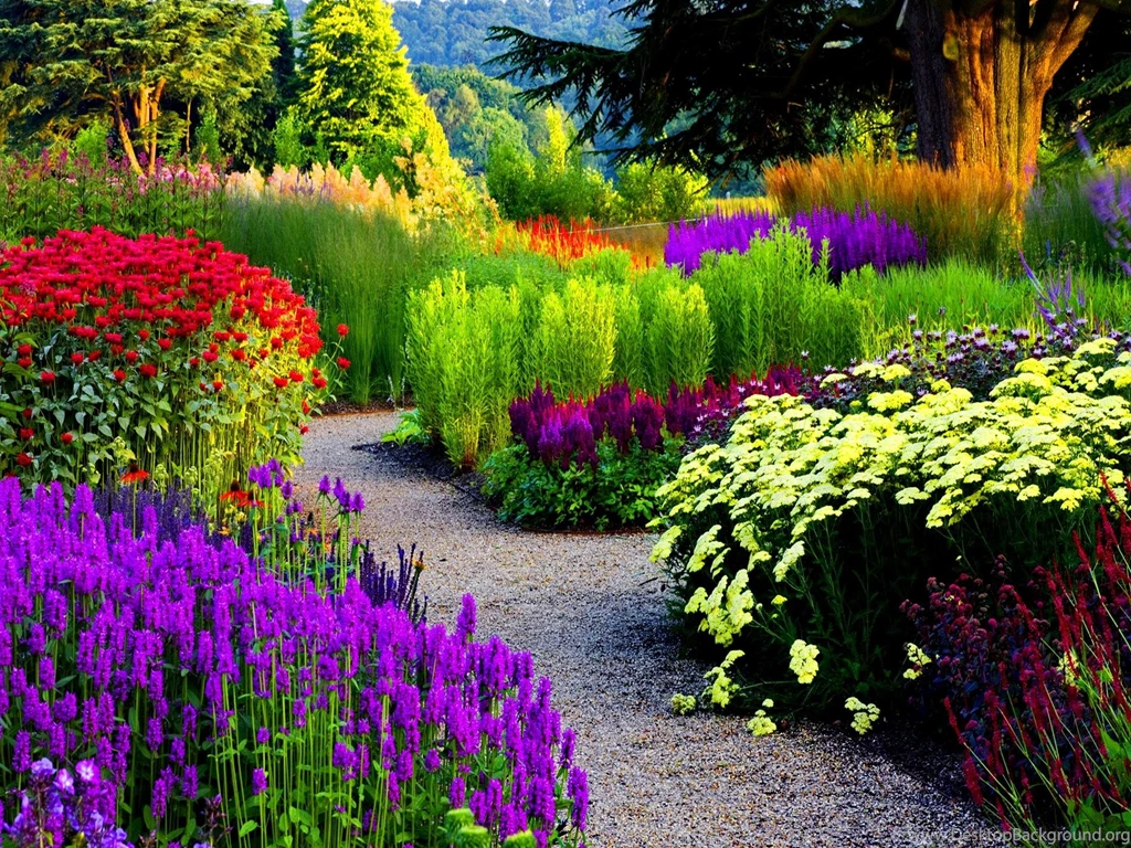 Park Alley Wallpaper,lovely HD Wallpaper,nature HD Wallpaper,nice ...