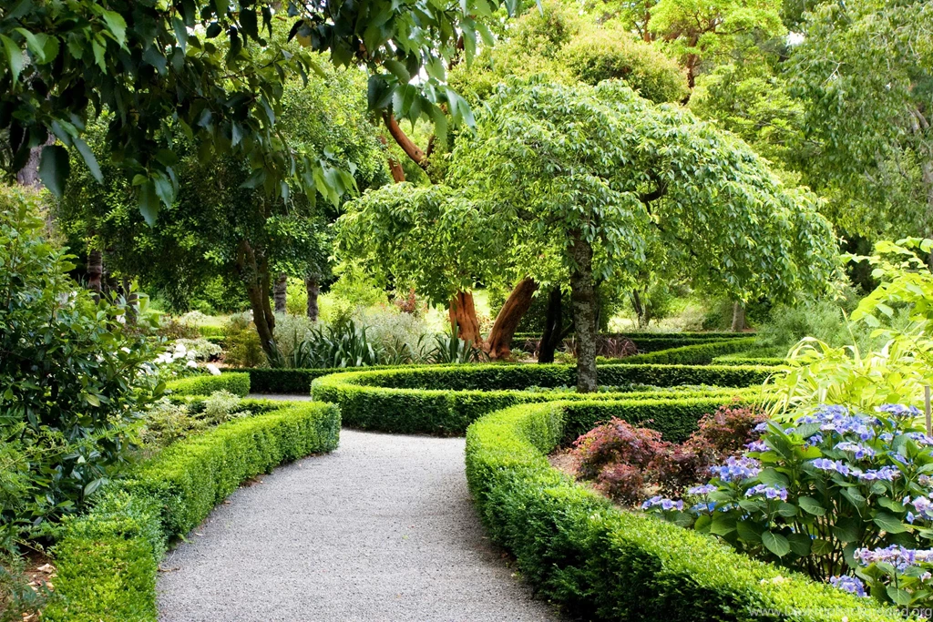 VIEW THE PARK WALLPAPER (