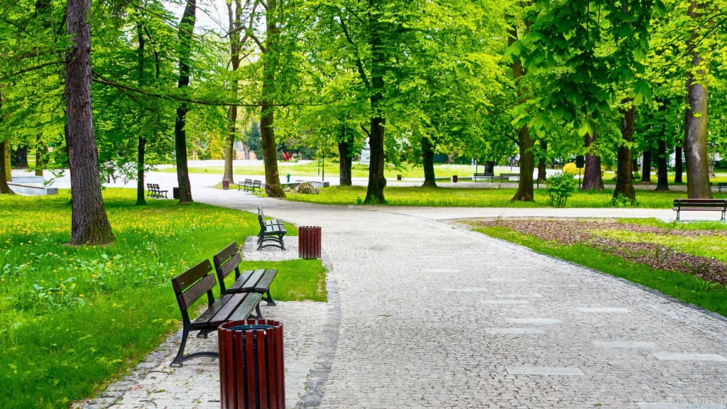 Fresh Spring Park Wallpaper, HD Wallpapers Downloads