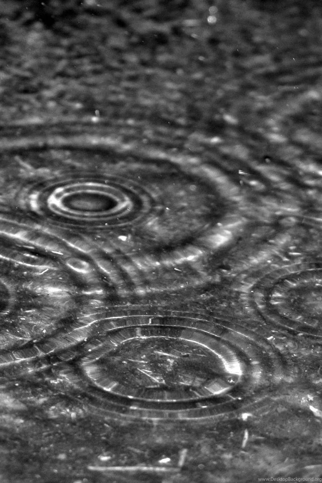 Rain Drops iPhone Desktop Backgrounds HD 8055 HD Wallpapers Site