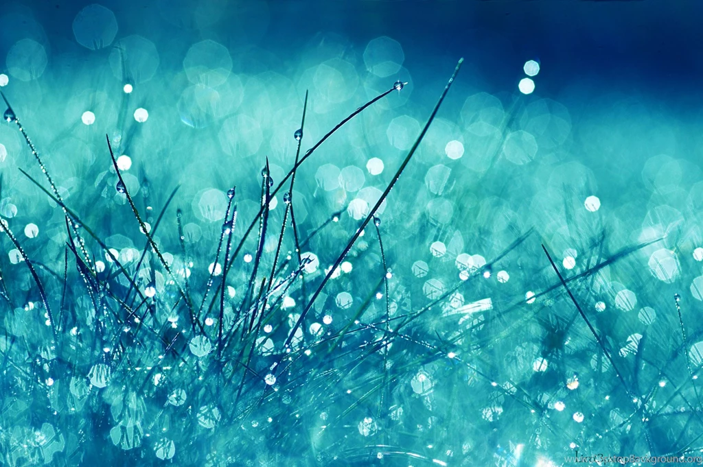 Wallpapers Desktop Nature Rain