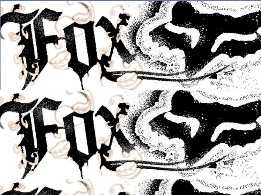 Black White Fox Racing Wallpapers 1024×768 Px