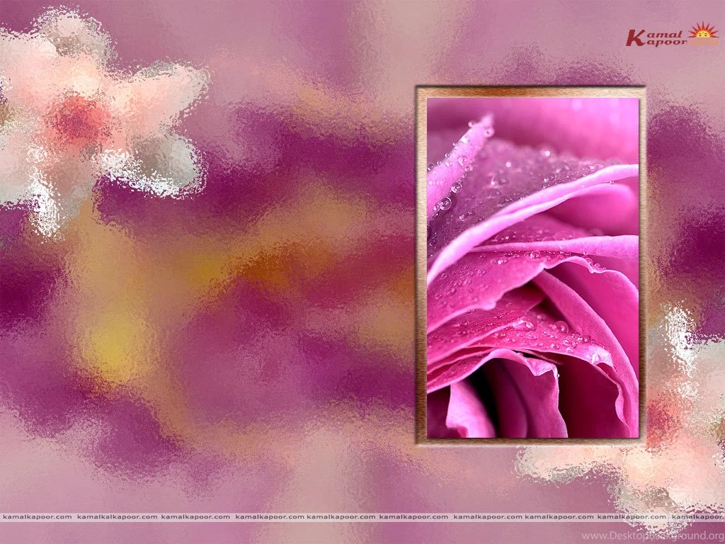 Color Wallpapers, Solid Color Wallpaper, Unique Color Wallpapers ...