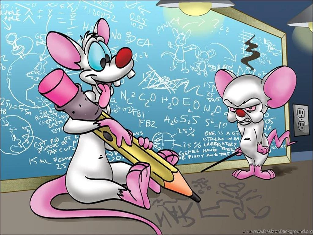 Pinky And The Brain Images