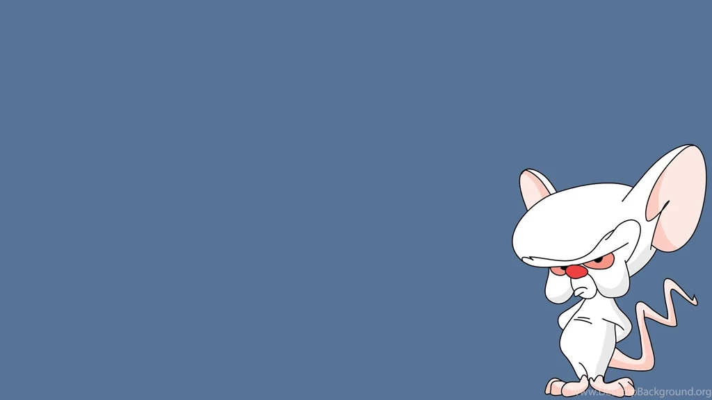 Pinky And The Brain HD Wallpapers And Backgrounds