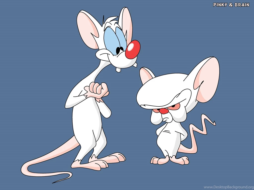 Pinky And The Brain Wallpapers HotFreeWallpaper.com