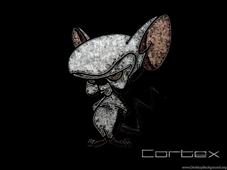 Wallpapers Cartoons > Wallpapers Pinky And The Brain Cortex By ...