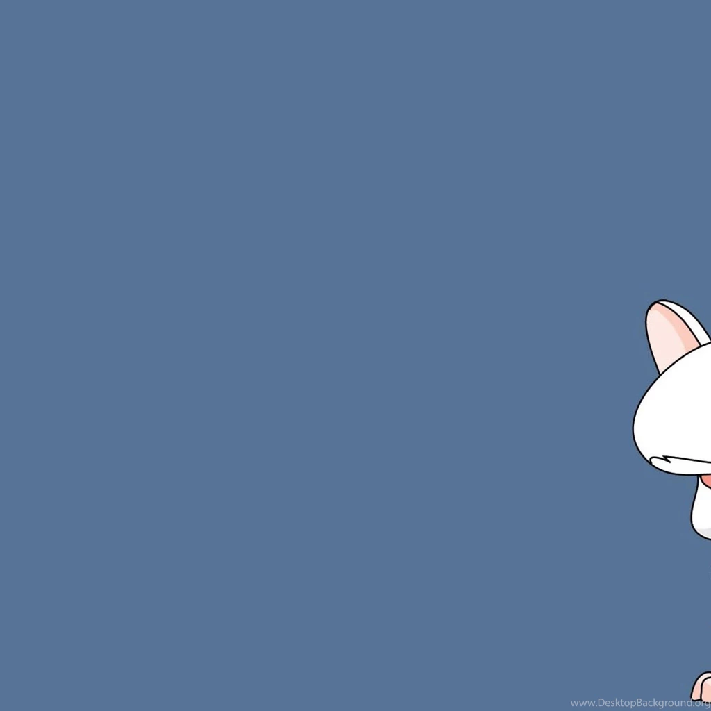 Pinky And The Brain iPad 1 & 2 Wallpapers
