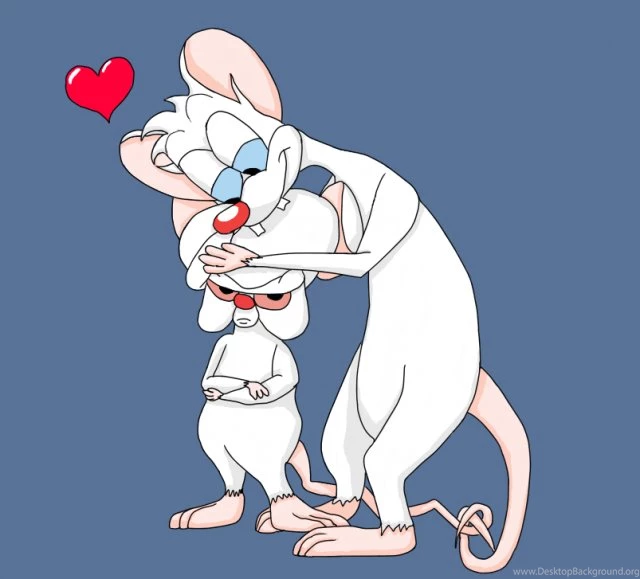 Pinky And The Brain Film Animation Cartoon HD