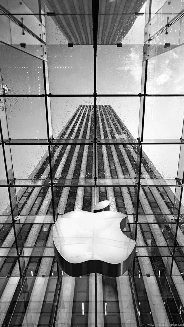 Pinky & The Brain iPhone 5 Wallpapers