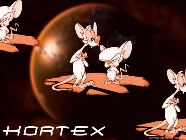 Wallpapers Cartoons > Wallpapers Pinky And The Brain Minus ...