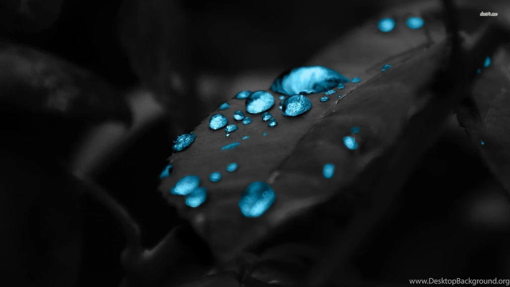 Water Drops Wallpapers Black