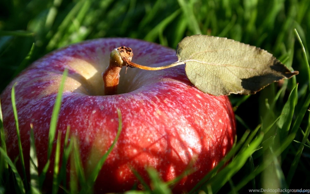 Fruit Apple Wallpaper Backgrounds For Desktop