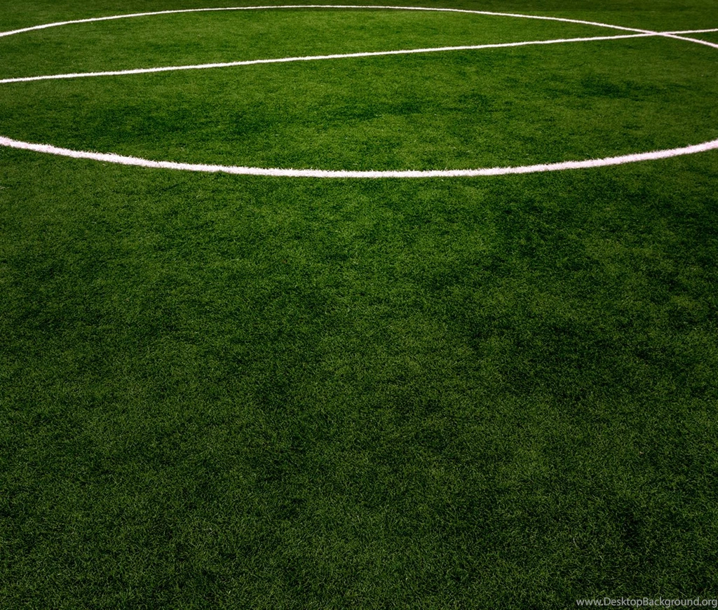 Field Dimensions