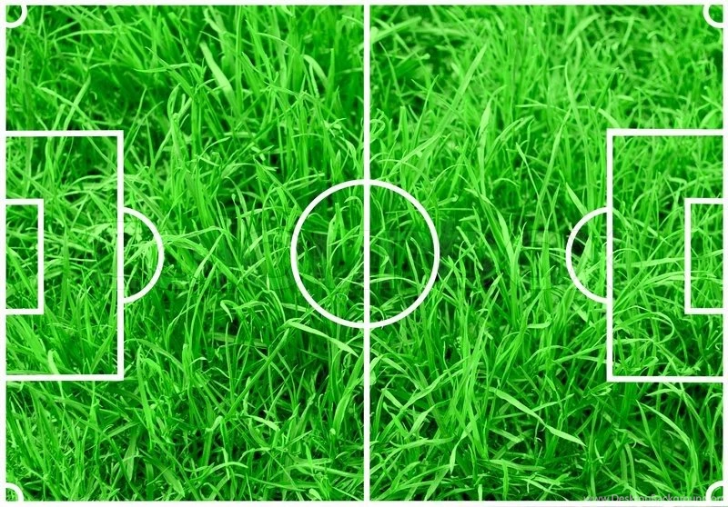 Soccer Field With White Lines On Green Grass Backgrounds