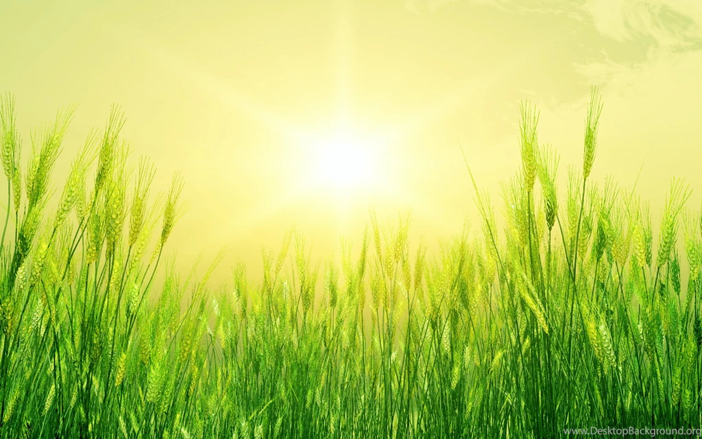 HD Happy Summertime Backgrounds Wallpapers Full Size ...