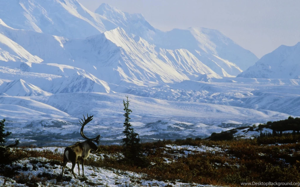 Top Desktop Wallpapers Nature Winter Wallpapers
