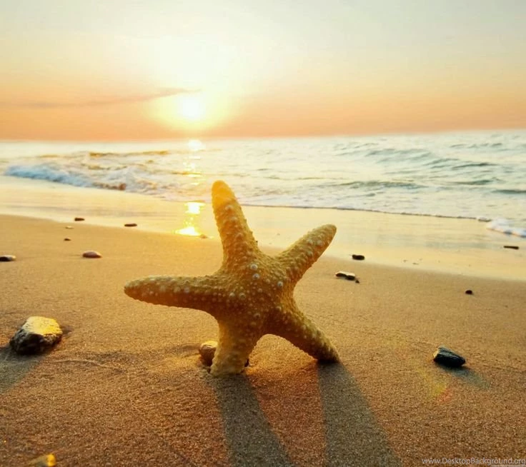 Wallpapers Murals Hawaiian