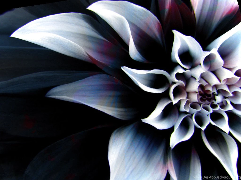 The Most Beautiful Wallpapers