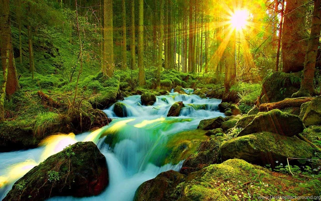 Most Beautiful Nature Wallpapers Wallpapers Zone