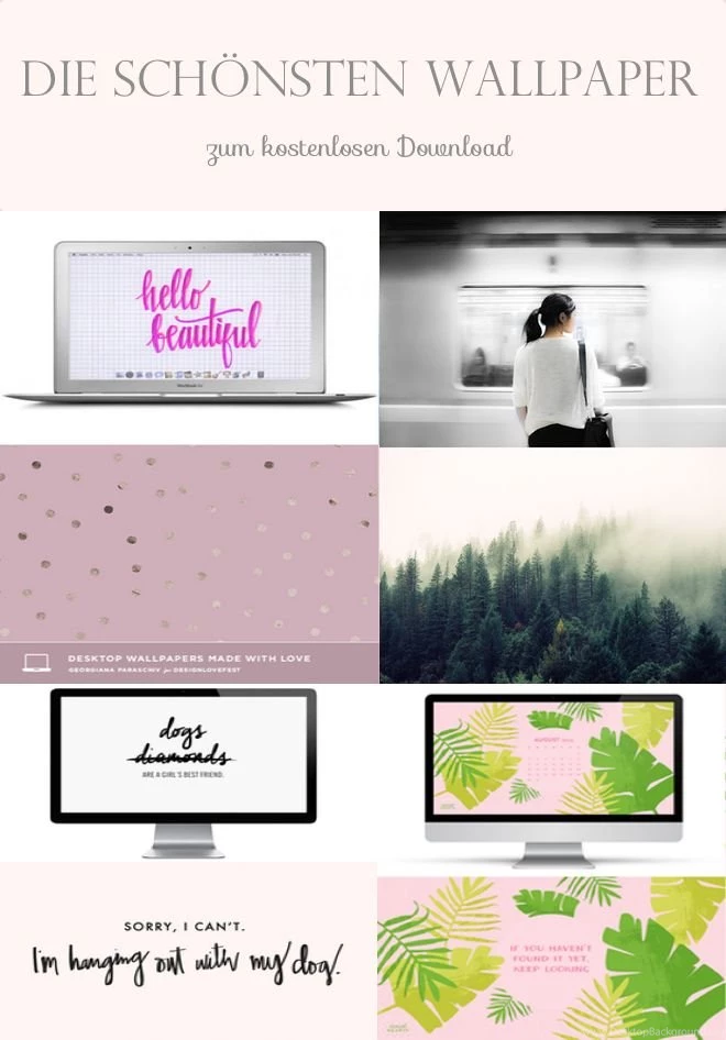 The Best Wallpapers Sources For Laptops, Ipads And Iphones