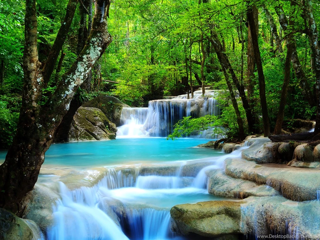 Waterfall Forest HD Wallpapers Android Apps On Google Play