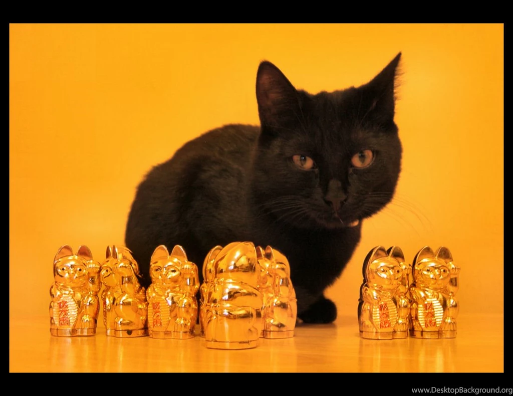 Lucky Cat? By My Villain Heart On DeviantArt