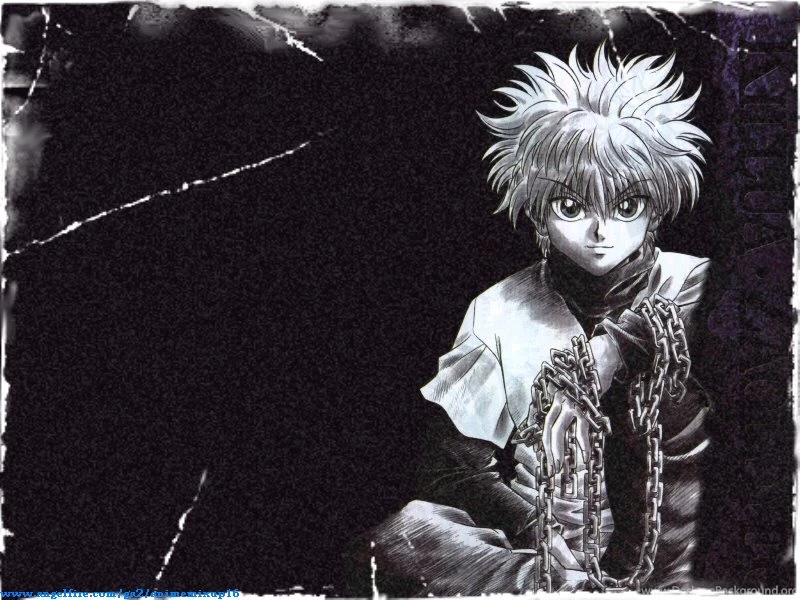Hunter X Hunter Wallpapers!!
