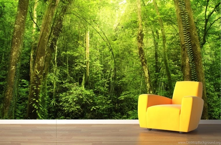 Green Fern Forest Wallpapers Wall Mural