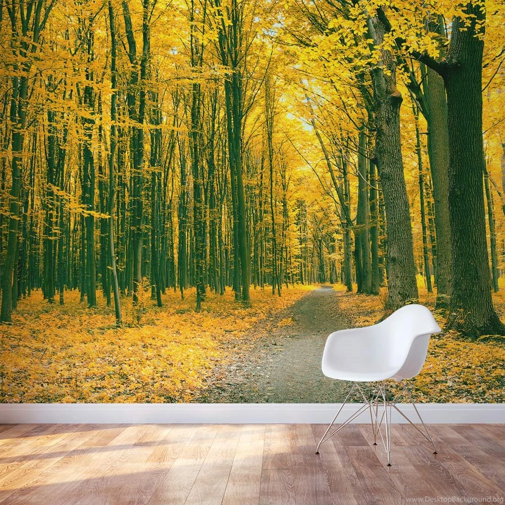 Golden Fall Forest Wall Mural