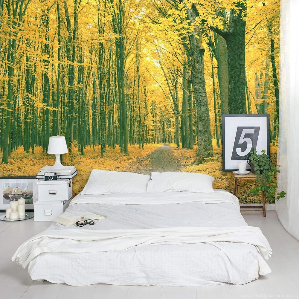 Golden Fall Forest Wall Mural