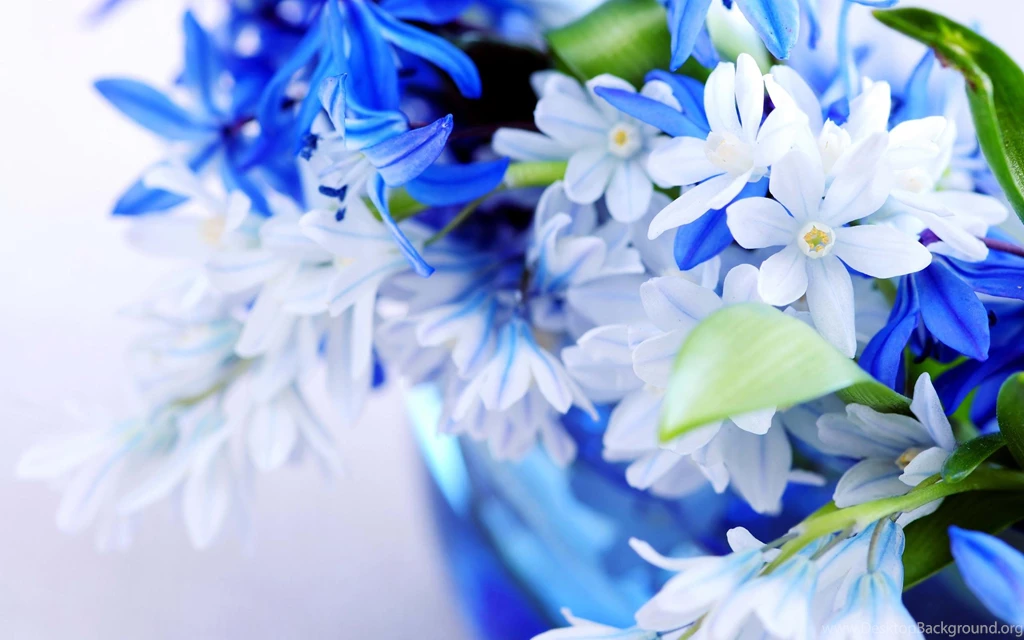 The Color Of The Sky >> HD Wallpaper, Get It Now!