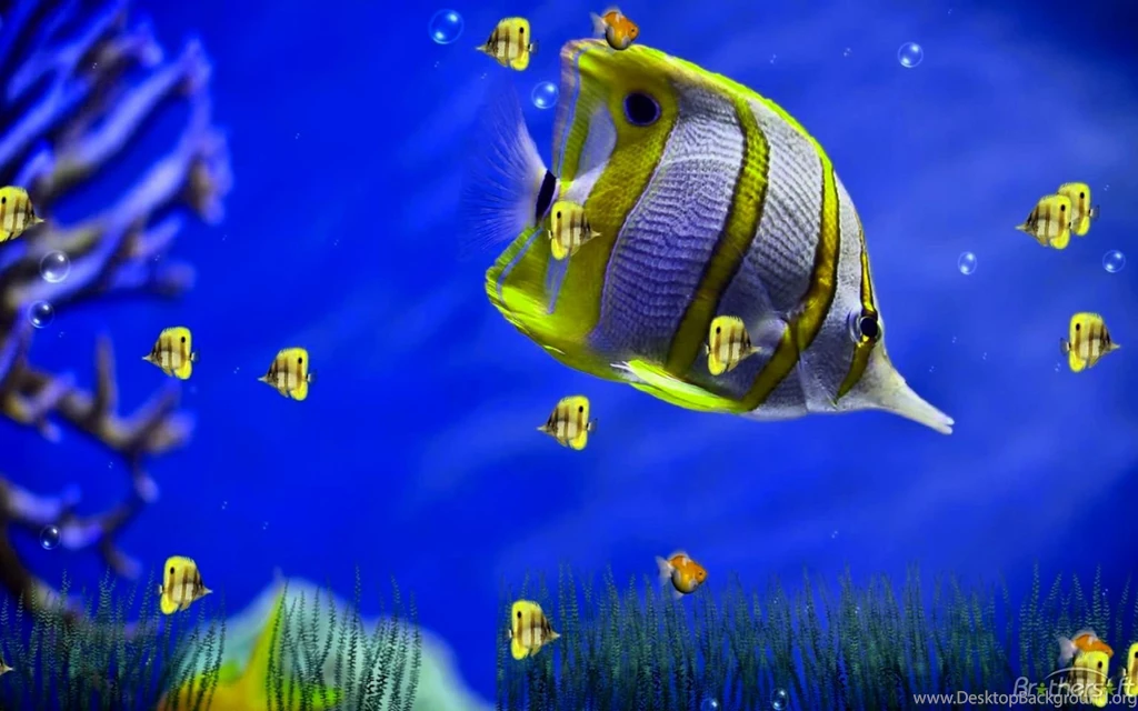 Moving Wallpapers For Windows 7 – 1536×960 High Definition ...