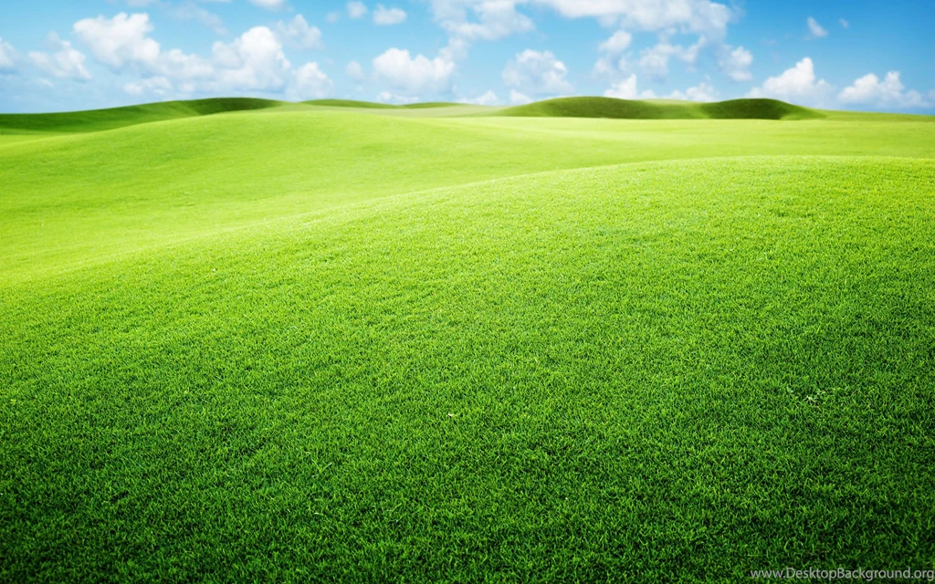 Green Grassland Wallpapers