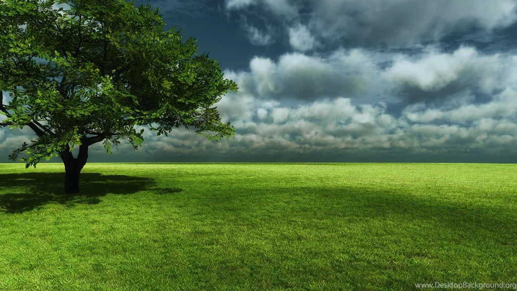 Beautiful Green Grassland Wallpaper, Green Backgrounds, Pictures ...