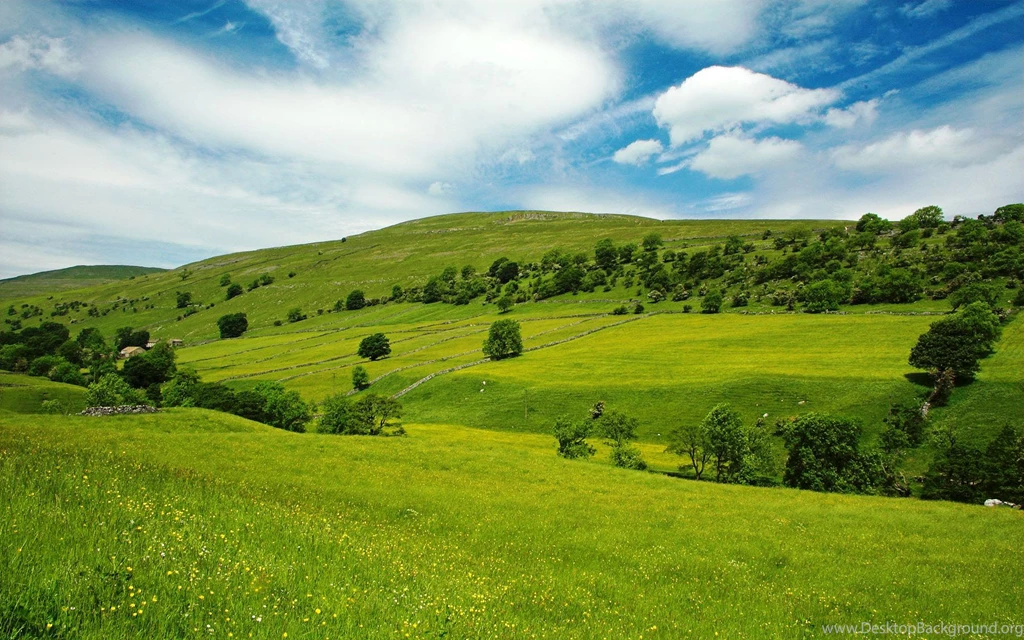 Grassland Wallpapers — Free Full HD Wallpaper. Widescreen HQ ...