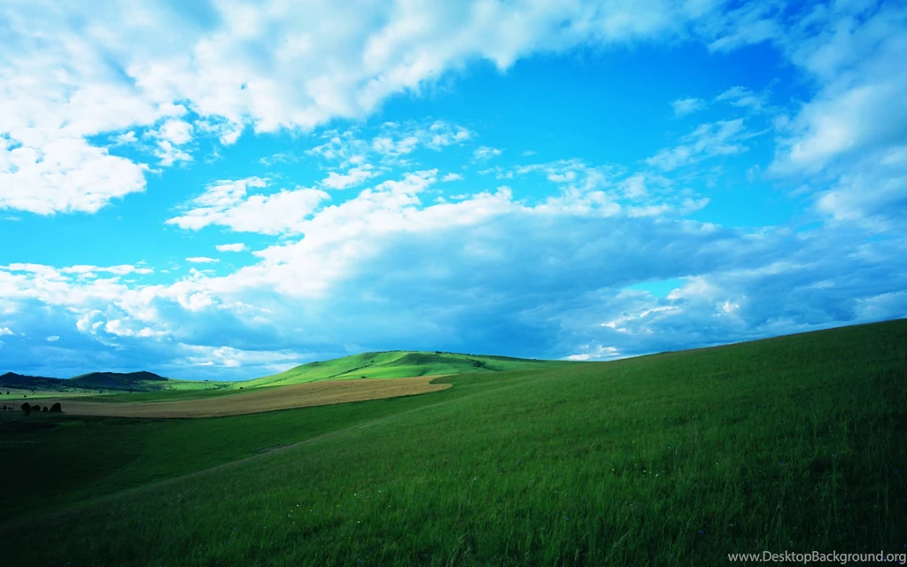Best Vast Grassland Wide Photography, 1920x1200 HD Wallpapers And ...
