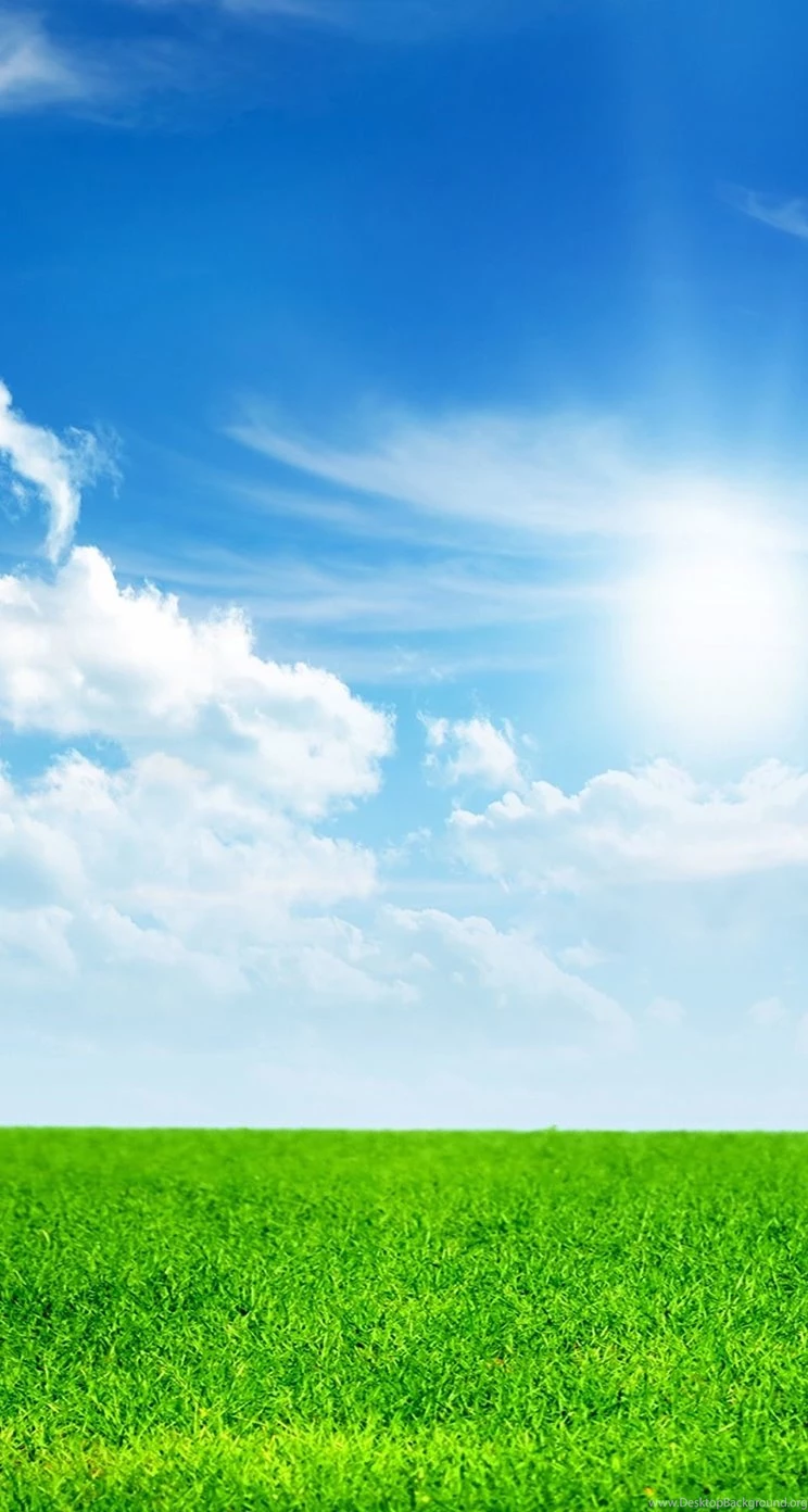 Grassland iPhone 5s Wallpapers