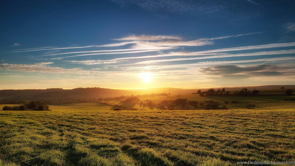 Sunset Grassland HD Wallpapers • IPhones Wallpapers