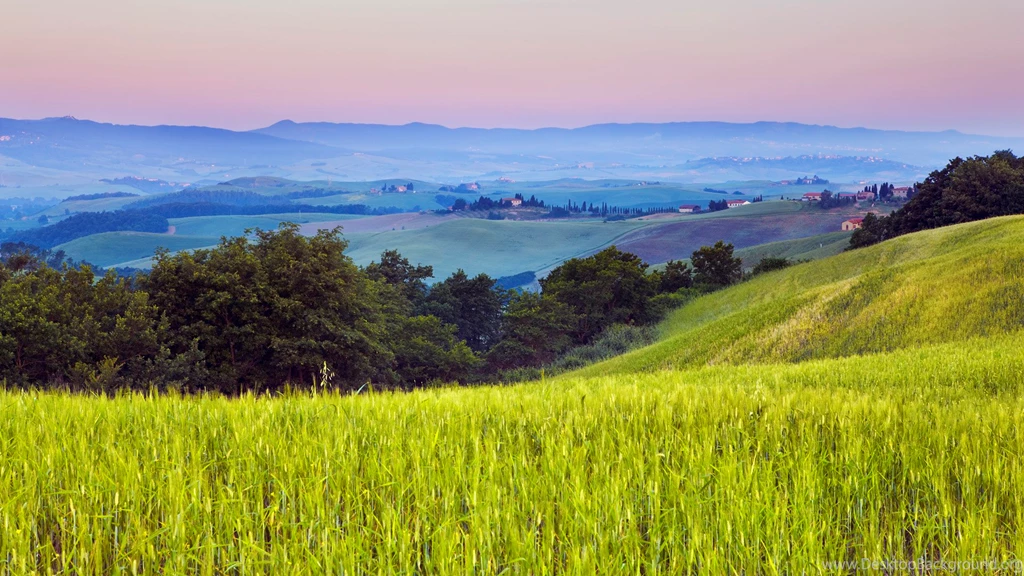 Grassland 1920x1080 Wallpapers, 1920x1080 Wallpapers & Pictures ...