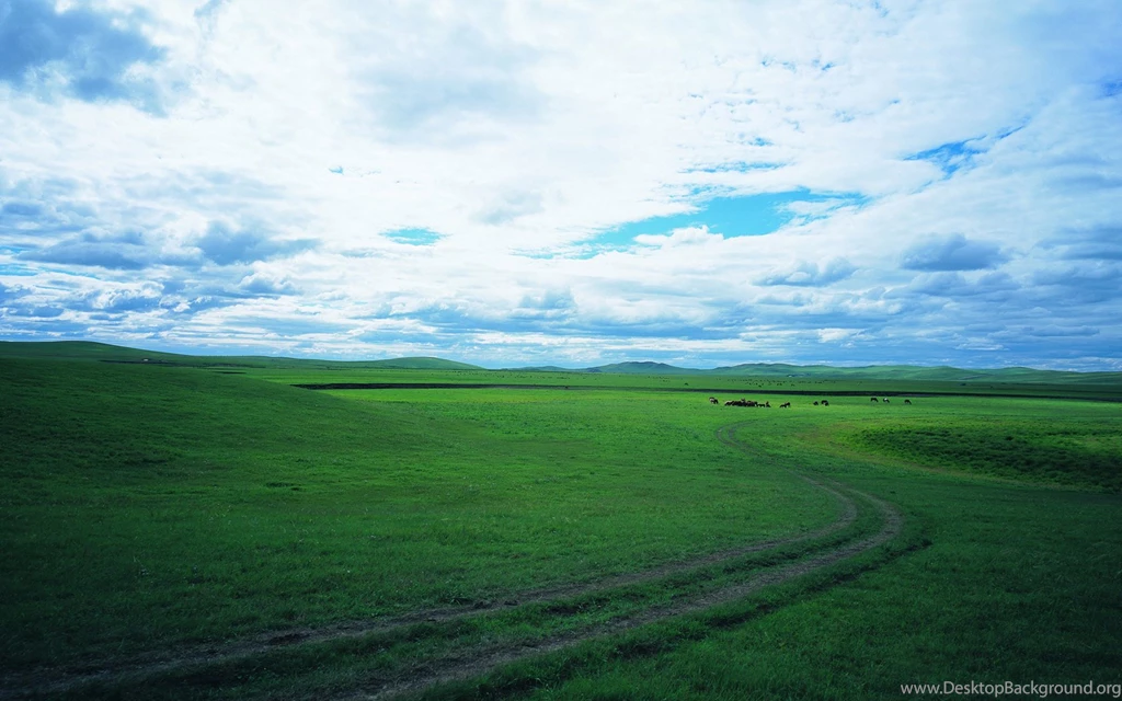 Grassland Scenery Wallpapers 22926   Wallpapers Landscape Scenery ...