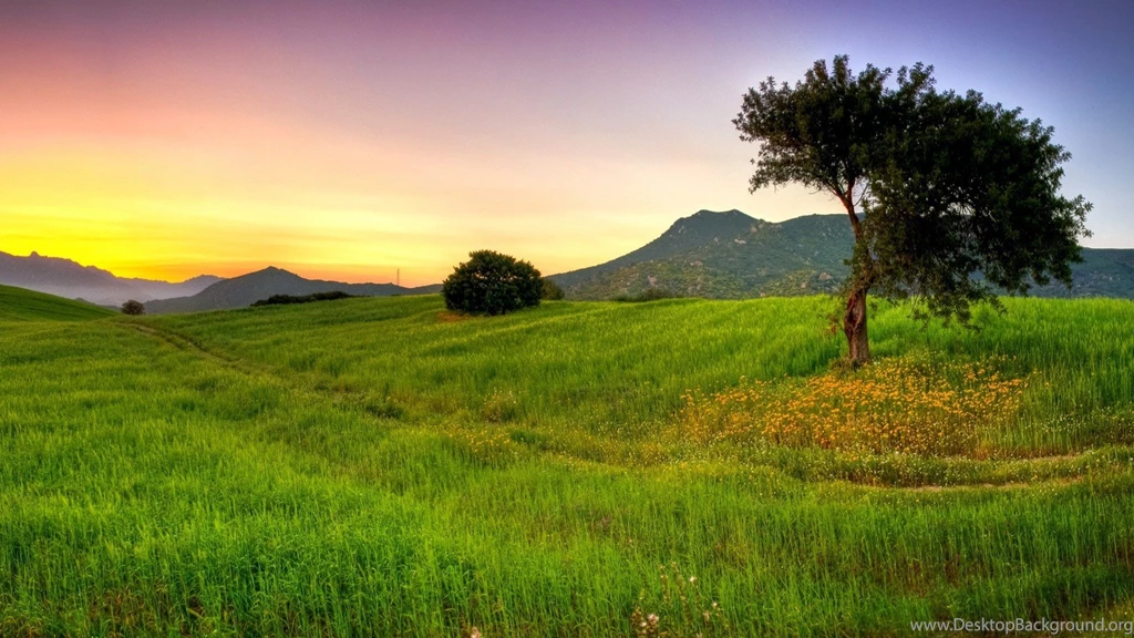 Scenery: Sardinia Italy Nature Scenery Landscape Tree Mountain ...