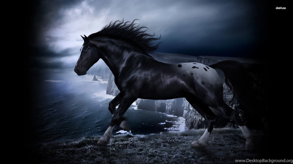 Black Horse Free Desktop Wallpapers