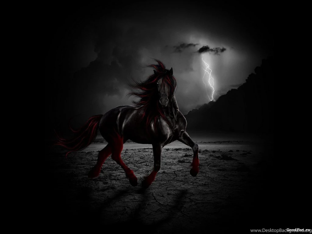 Top 23 Horse Wallpapers In HD