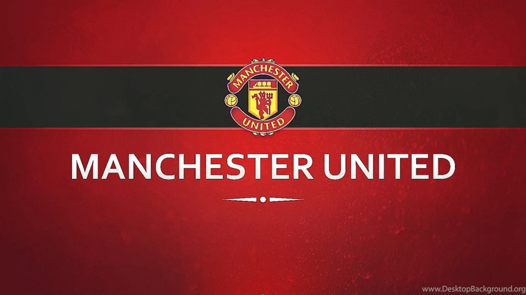 Michigan Football Wallpapers 5 Items