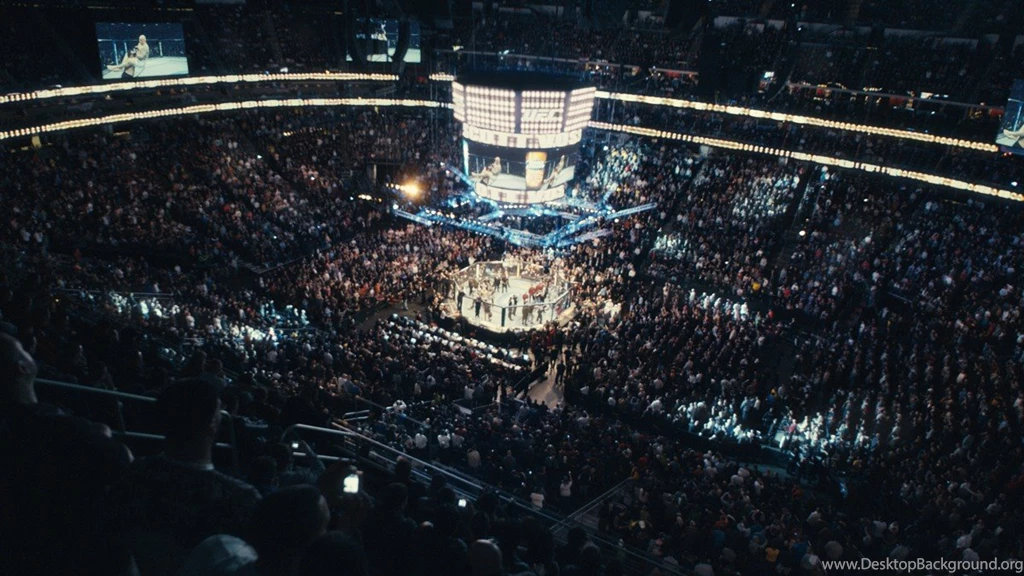 UFC 194: José Aldo VS Conor McGregor