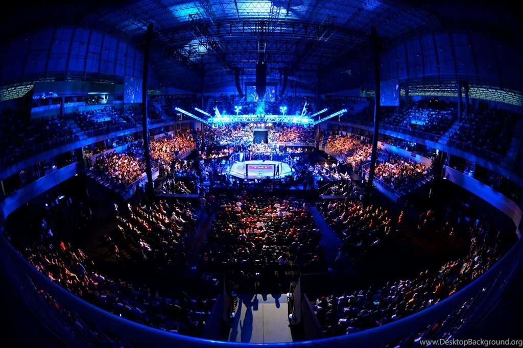 Manager: UFC Did An 'extensive Backgrounds Check' On Fighter With ...