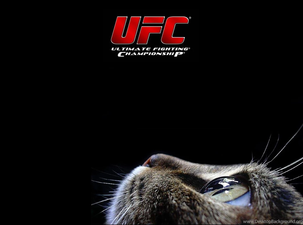 UFC Gallery
