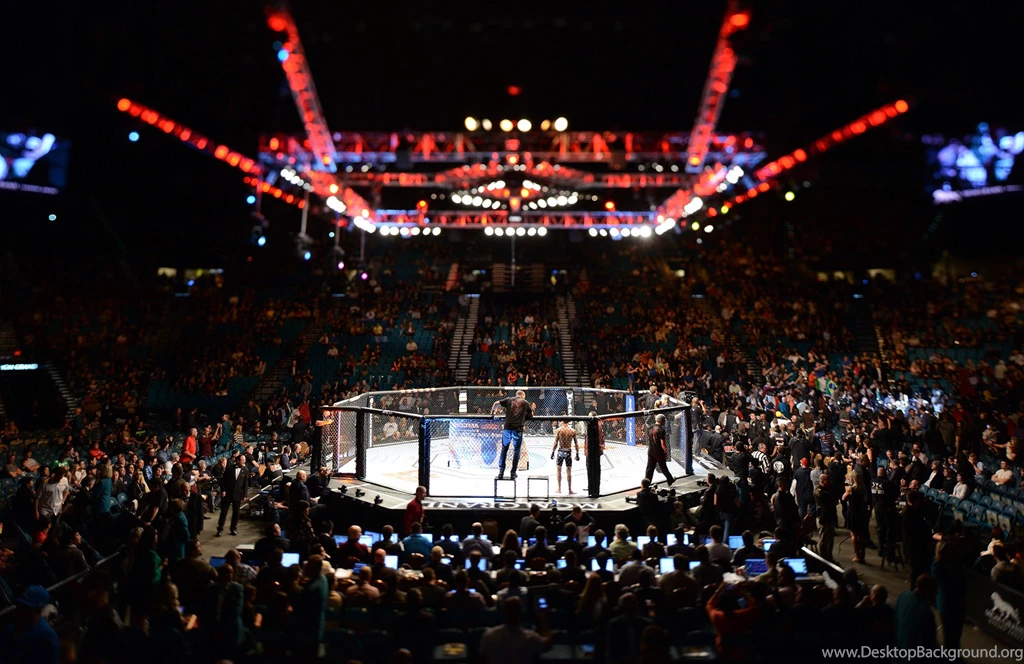 UFC Mixed Martial Arts Mma Fight Extreme Battle Battles Stadium ...
